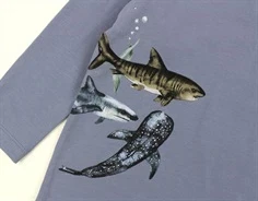 Name It troposphere haj top